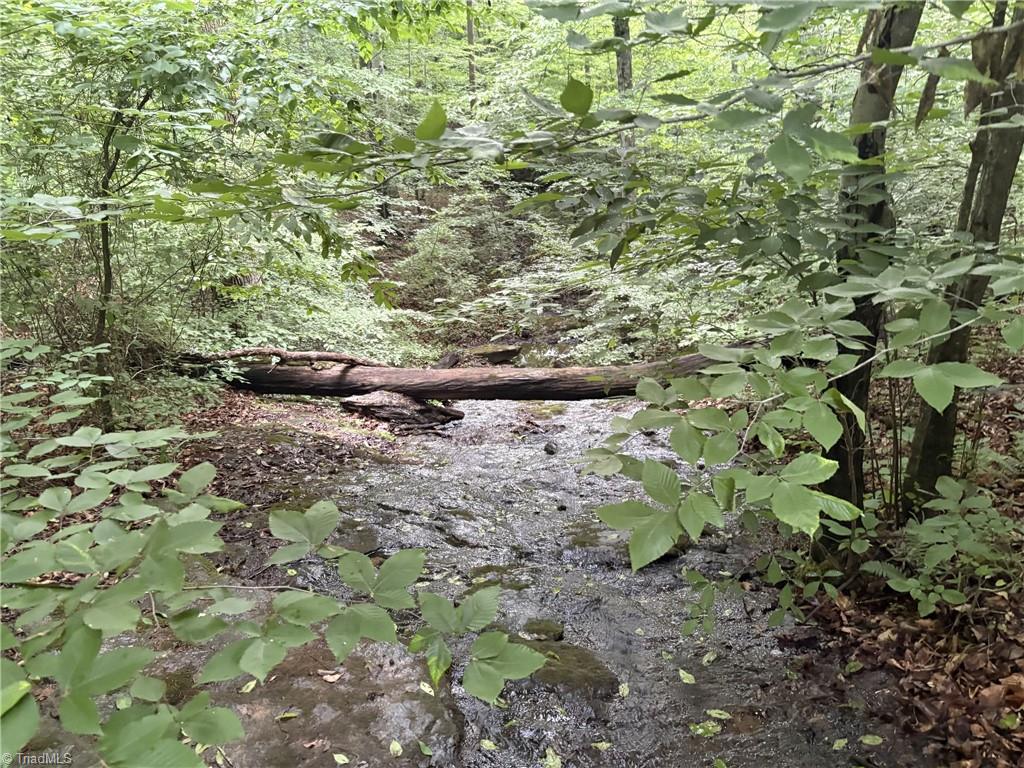 0 Nubbin Ridge Road Reidsville, NC 27320 - Photo 9 of 13