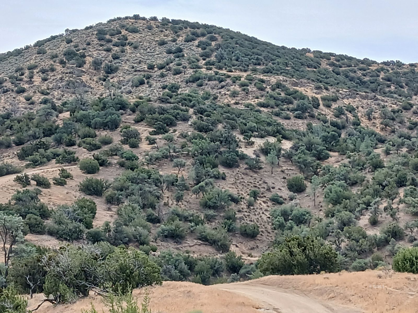 High Ridge Road Caliente, CA 93518 - Photo 11 of 12