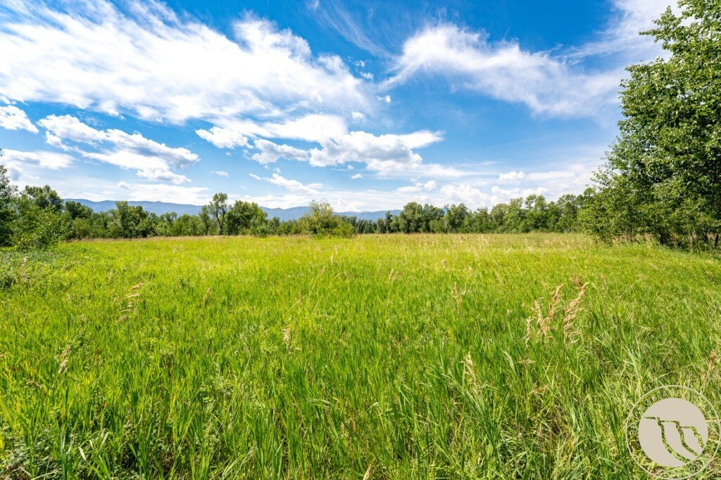 74 Lower Luther Road Red Lodge, MT 59068 - Photo 22 of 29 Southern Mountain Views