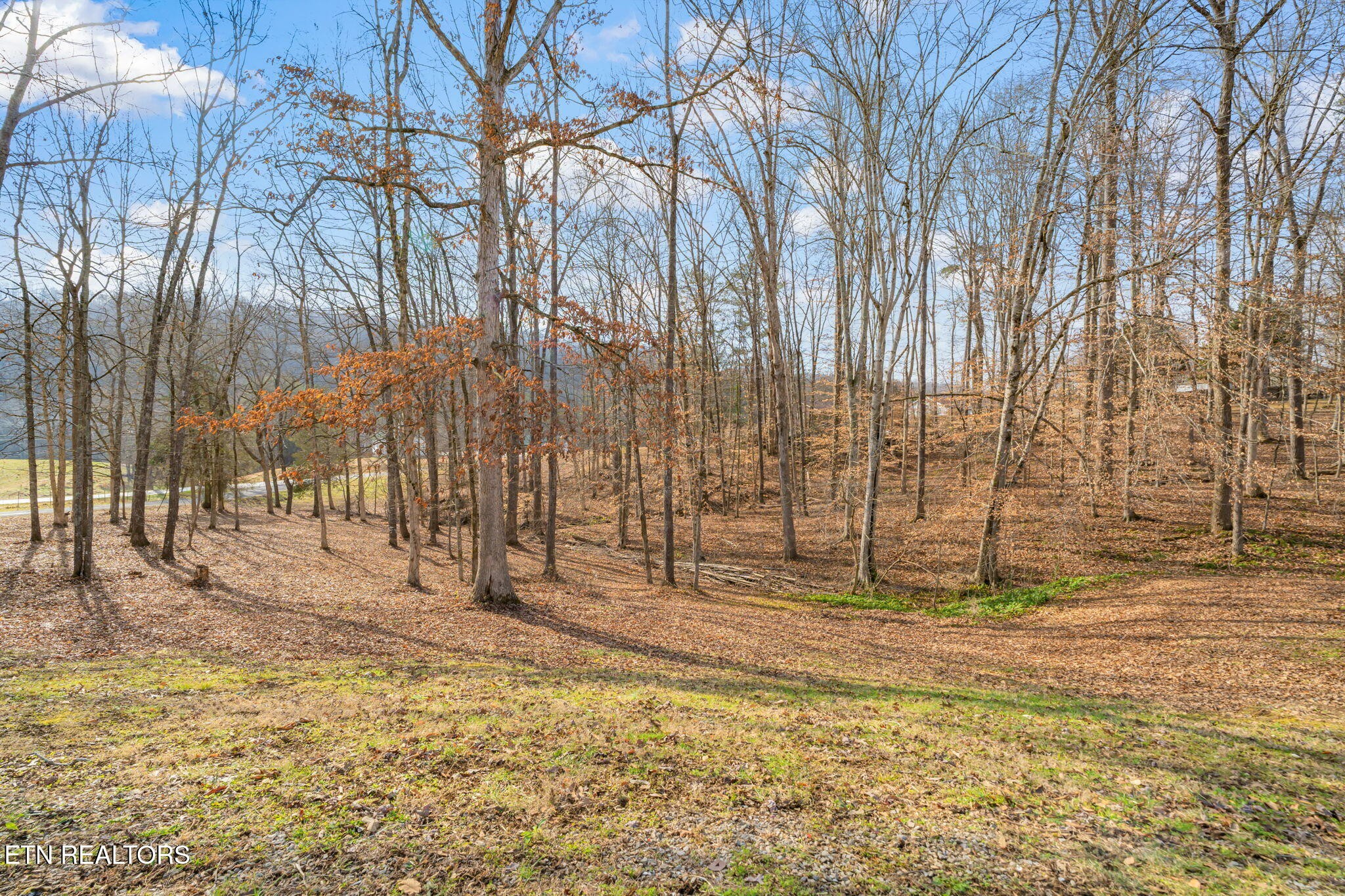 115 Jamie Street Maynardville, TN 37807 - Photo 40 of 58 a view of wooden fence