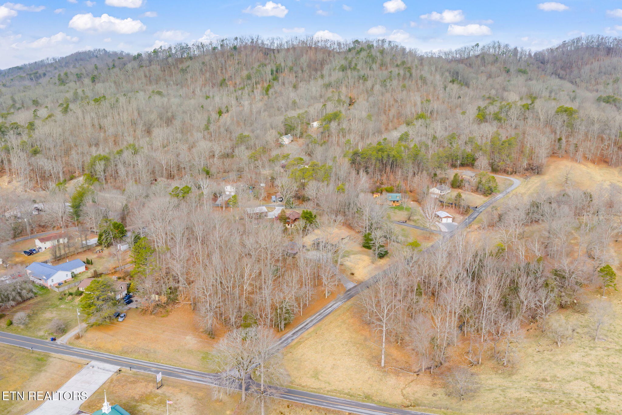 115 Jamie Street Maynardville, TN 37807 - Photo 55 of 58 a view of a dry yard with large trees