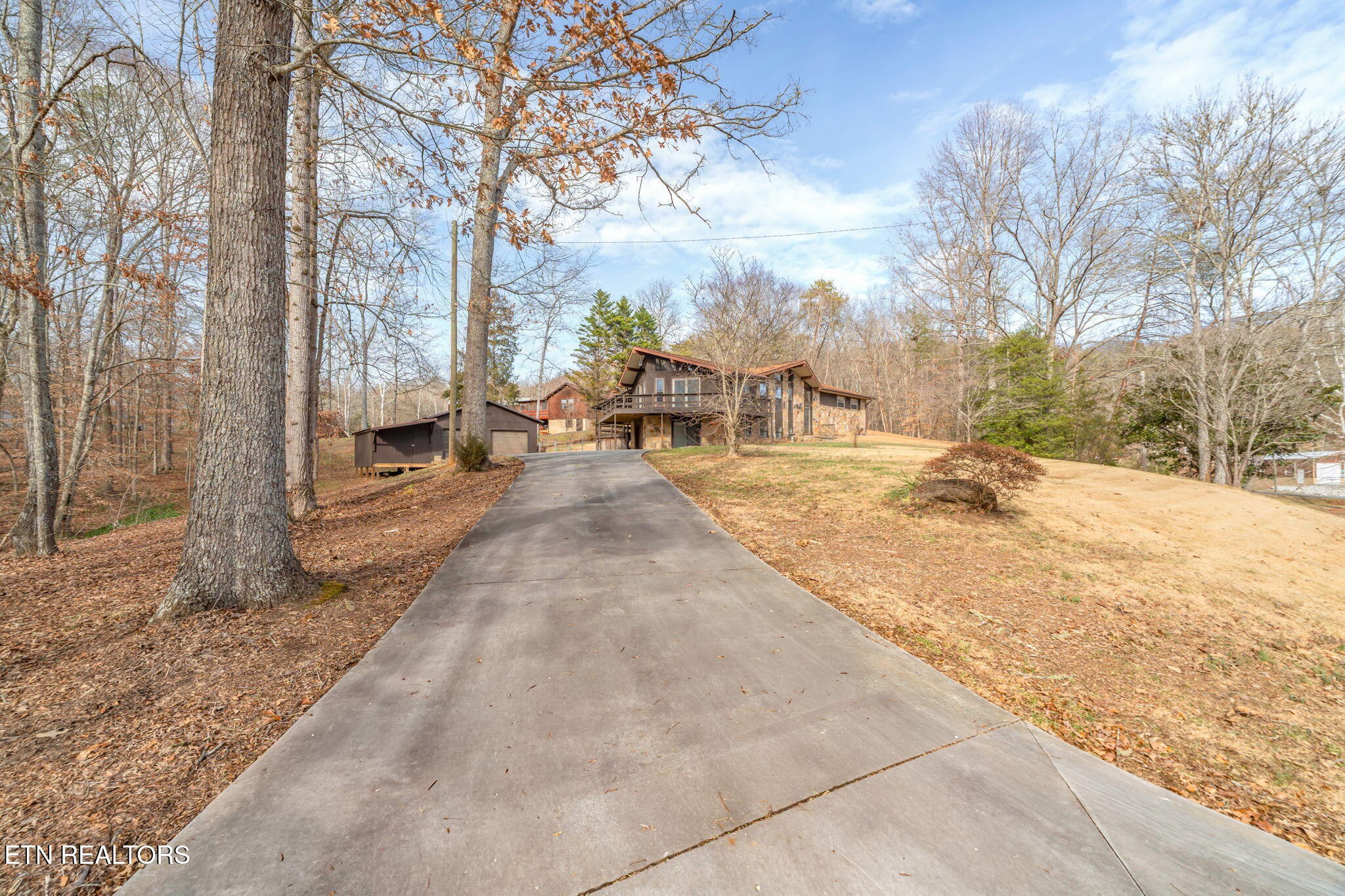115 Jamie Street Maynardville, TN 37807 - Photo 56 of 58 a view of outdoor space with trees