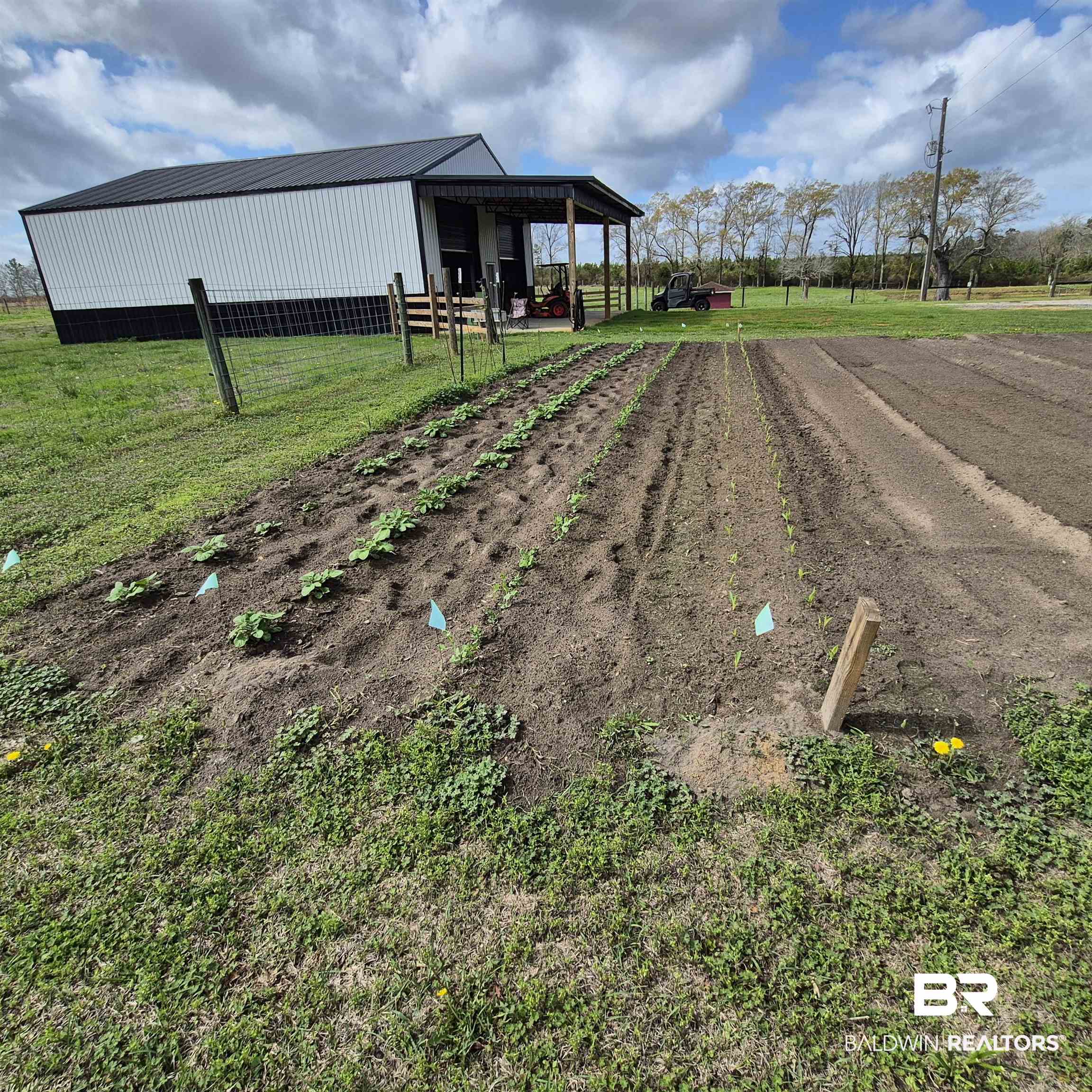 26635 Highway 41 Range, AL 36473 - Photo 54 of 74 View of yard featuring an outbuilding, an outdoor structure, dirt driveway, and a rural view