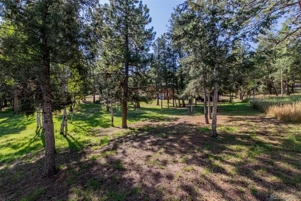 $525,000 | 1462 Burland Drive, Bailey, CO 80421