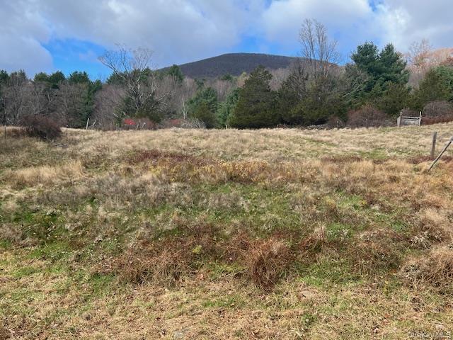 244 Upper Samsonville Road Olivebridge, NY 12461 - Photo 5 of 17 Gallery Image 5