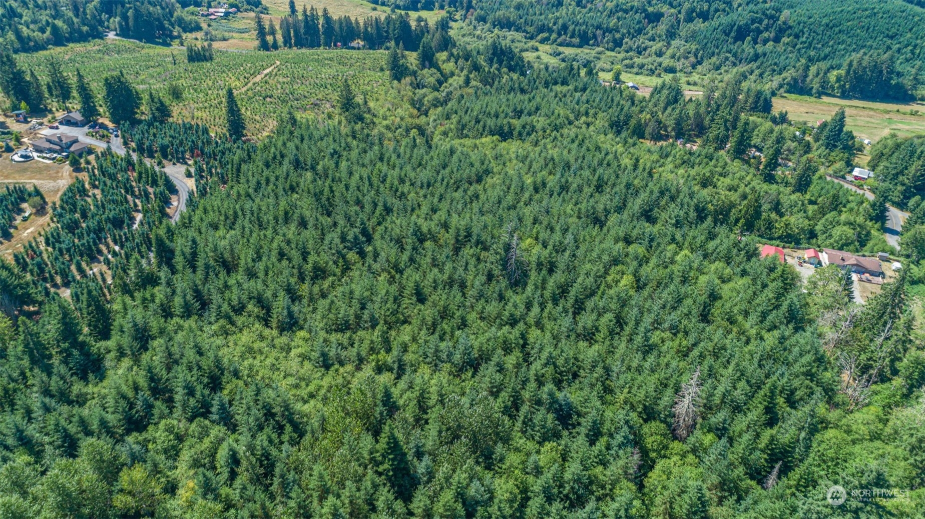 20937 Flumerfelt Road Southeast Centralia, WA 98531 - Photo 3 of 8 a view of a lush green forest with lots of trees