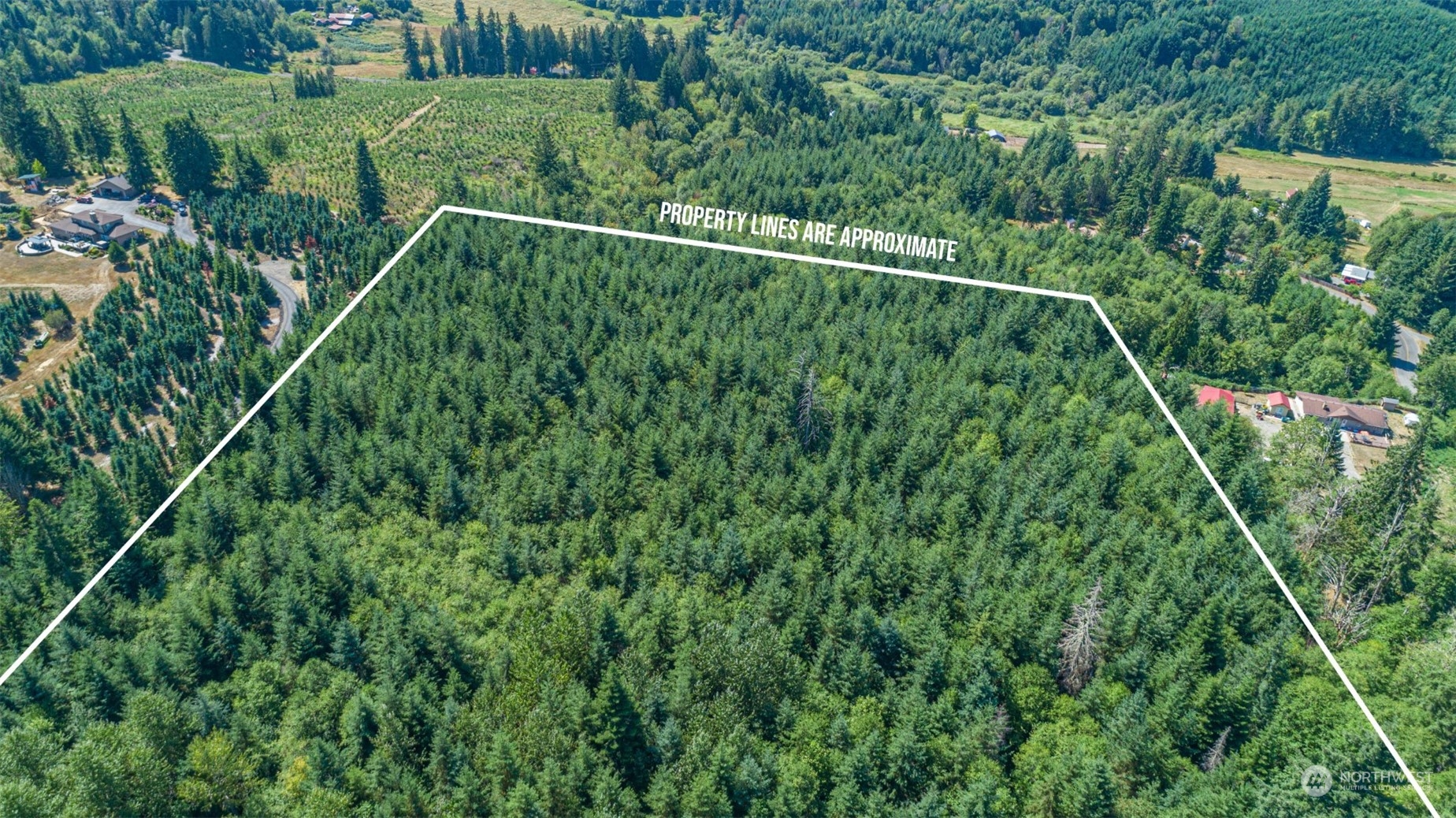 20937 Flumerfelt Road Southeast Centralia, WA 98531 - Photo 4 of 8 a view of a lush green forest with a street
