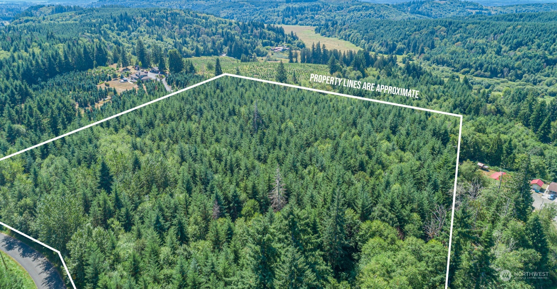 20937 Flumerfelt Road Southeast Centralia, WA 98531 - Photo 6 of 8 a view of a yard with a lake and trees in the background