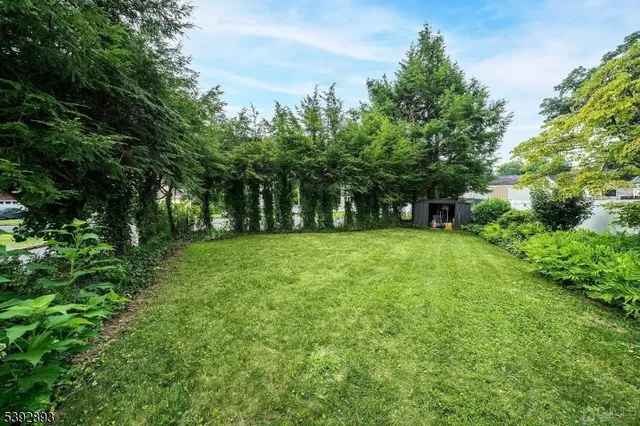 a view of green field with trees in the background