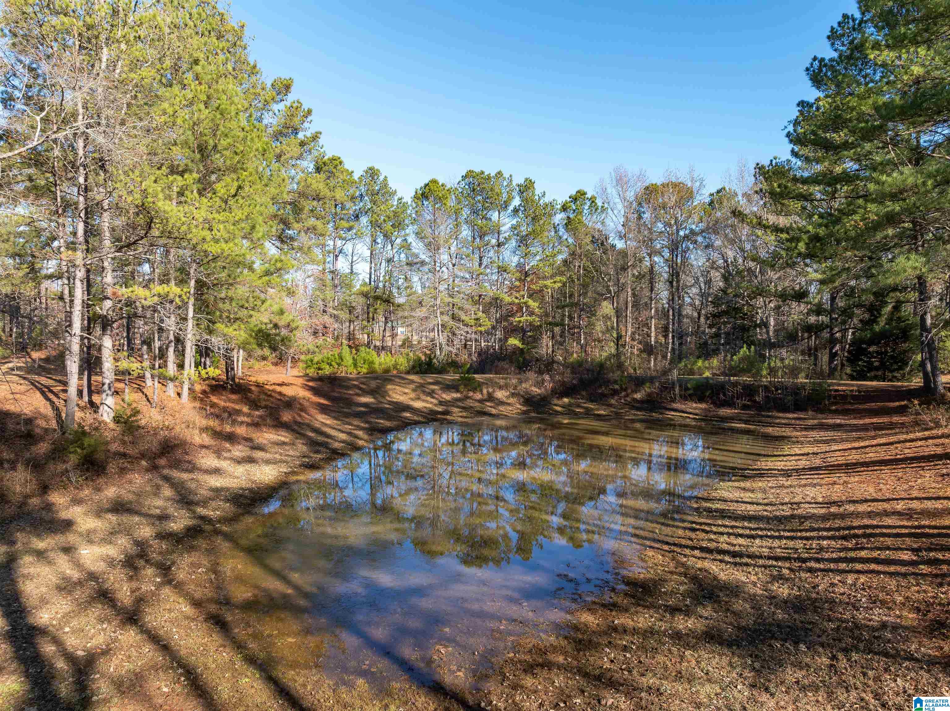 3342 County Road 39 Chelsea, AL 35043 - Photo 55 of 63