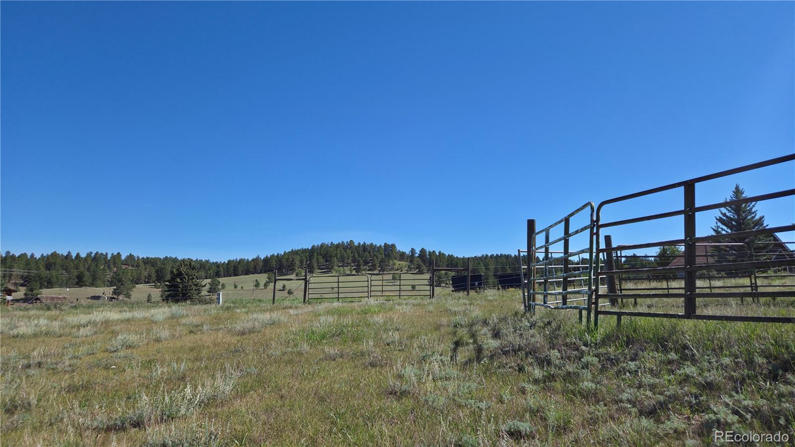 99 Uintah Ridge Road Florissant, CO 80816 - Photo 13 of 34 Gallery Image 13