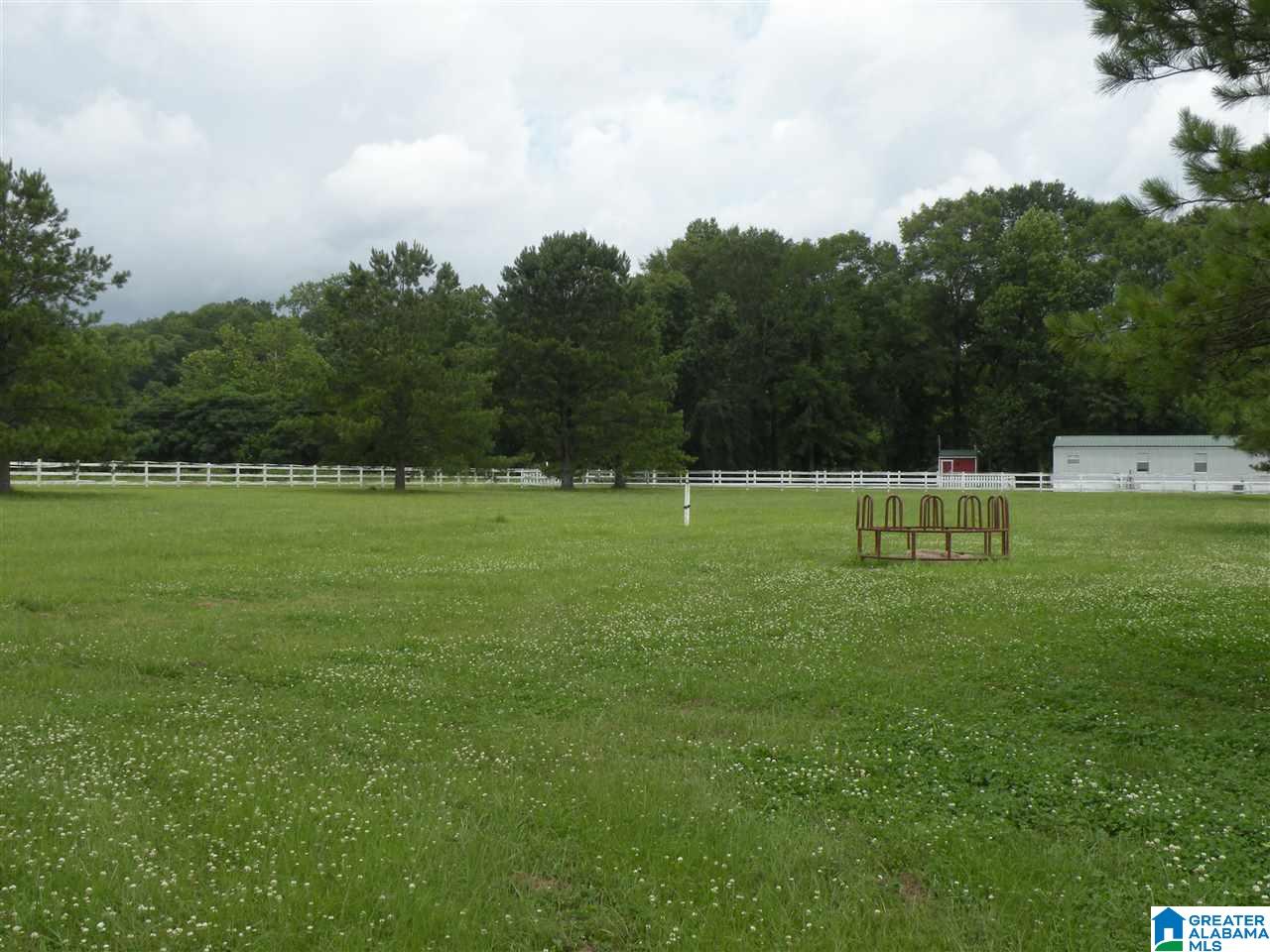 2593 Pecan Road Sylacauga, AL 35150 - Photo 4 of 48