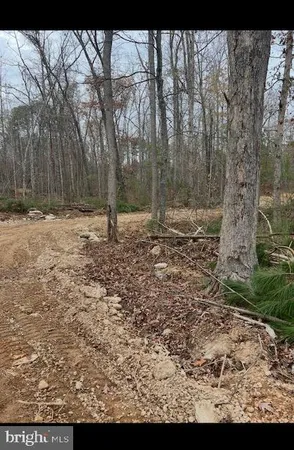 $120,000 | Lot 3 Woodlands Drive, Orange, VA 22960