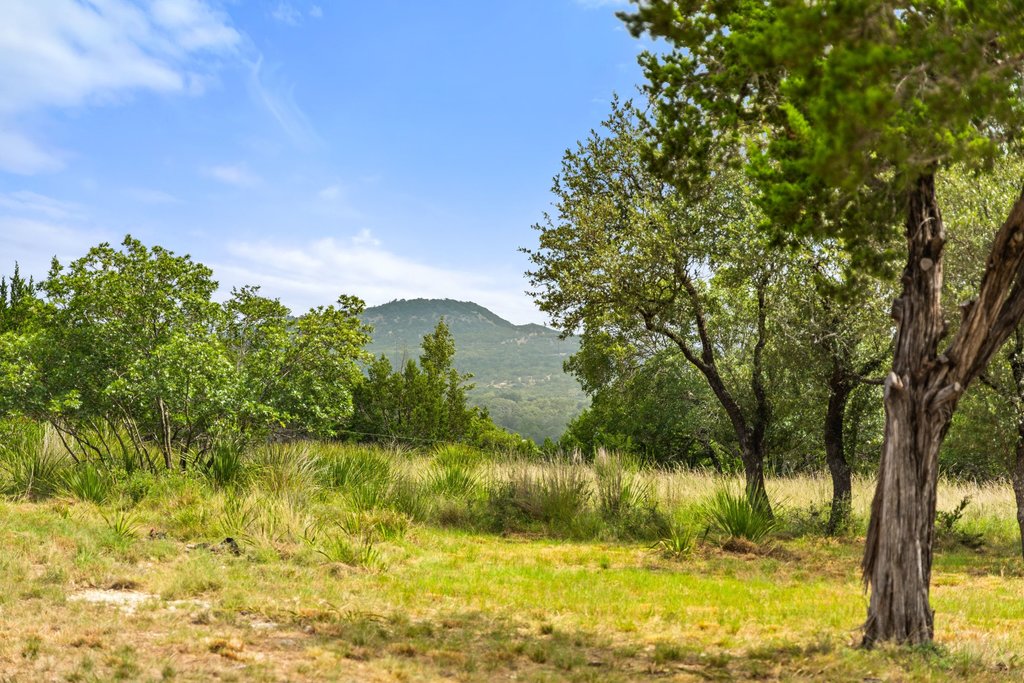 2126 Hidden Valley Ranch Road Johnson City, TX 78636 - Photo 27 of 36 A verdant landscape unfolds with rolling hills and abundant trees, offering a serene natural escape.