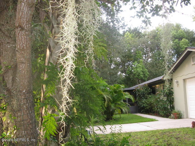 a view of a yard with plants