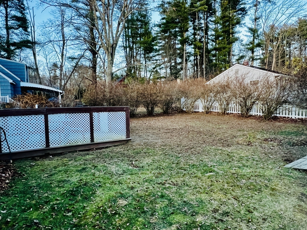 62 Arnold Road Sturbridge, MA 01518 - Photo 28 of 28 a view of a yard with large trees