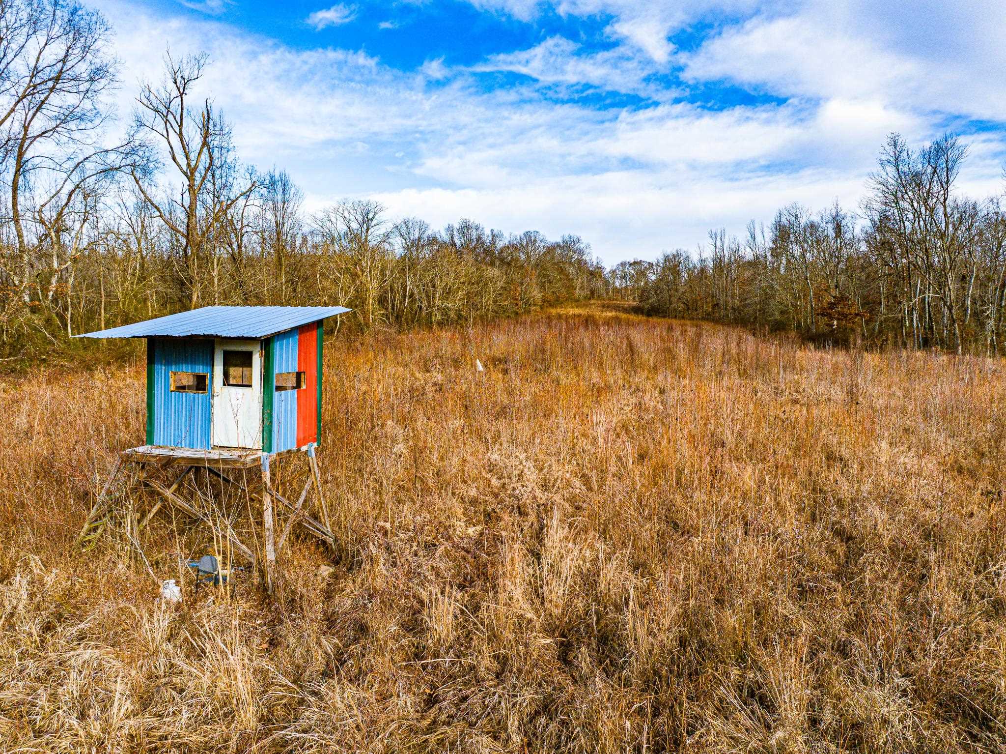 0 Puryear Road Cottage Grove, TN 38224 - Photo 11 of 40 a view of a house with a yard