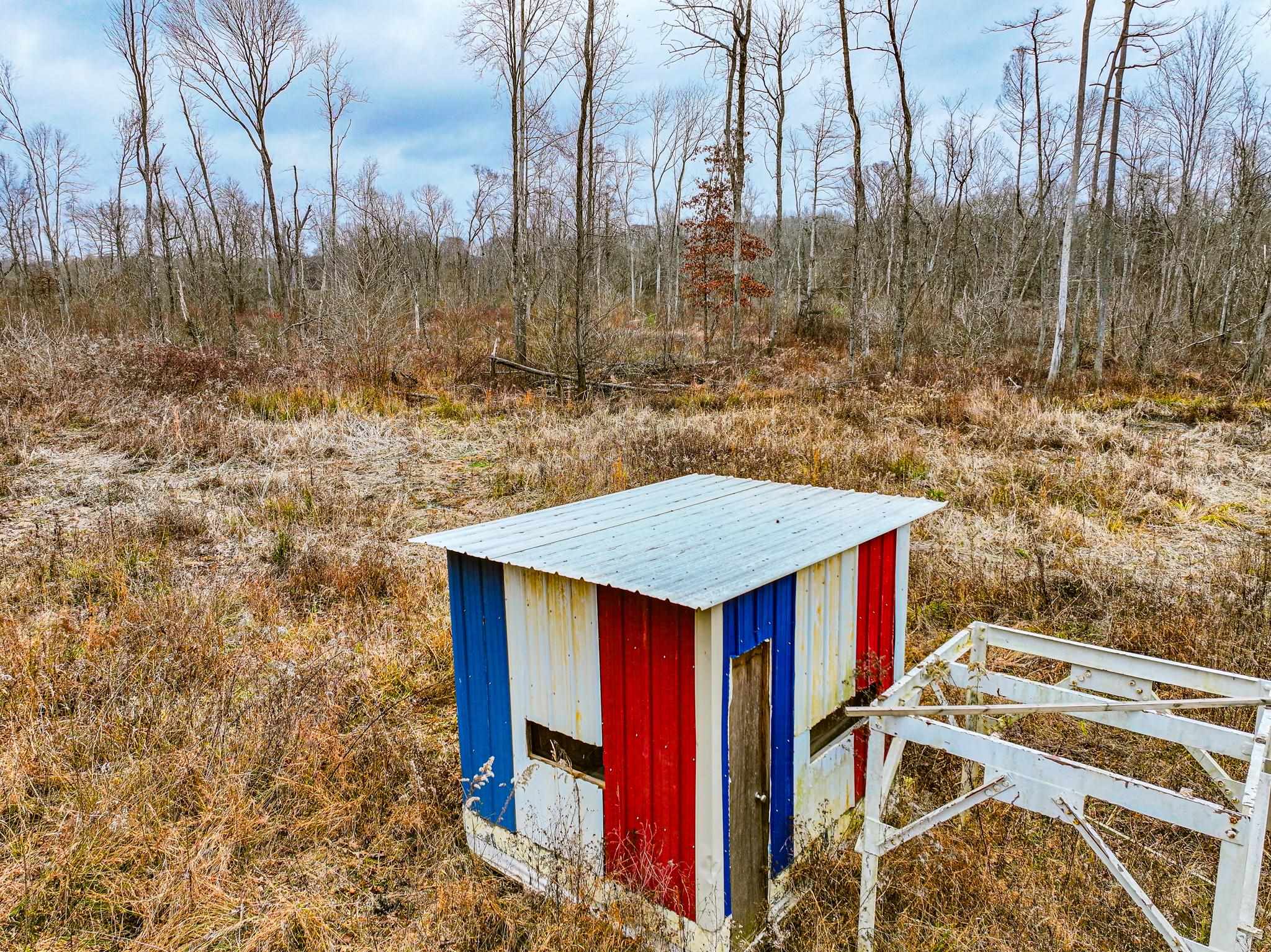 0 Puryear Road Cottage Grove, TN 38224 - Photo 14 of 40 a view of a wooden floor with a dry yard