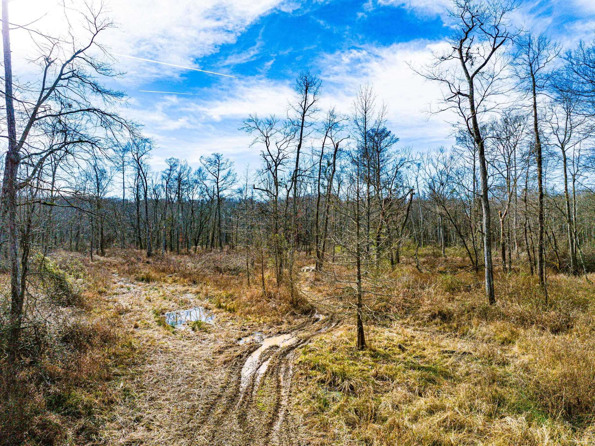 0 Puryear Road Cottage Grove, TN 38224 - Photo 17 of 40 a view of a lake view
