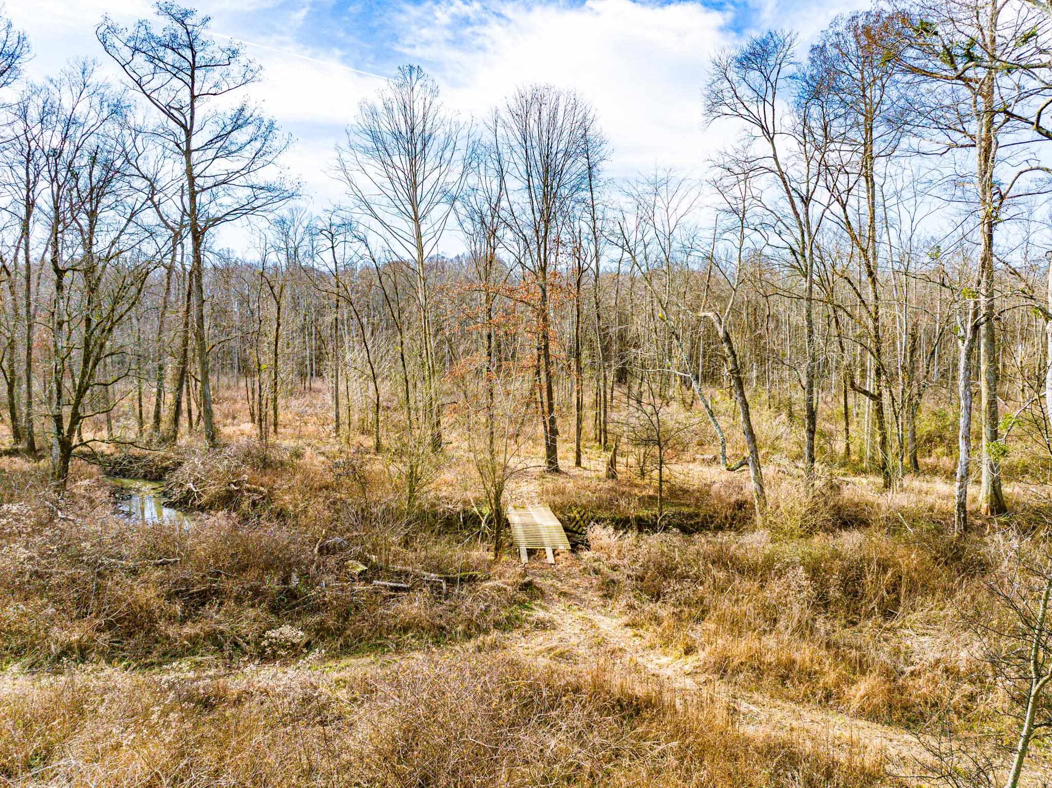 0 Puryear Road Cottage Grove, TN 38224 - Photo 18 of 40 a view of yard covered with snow