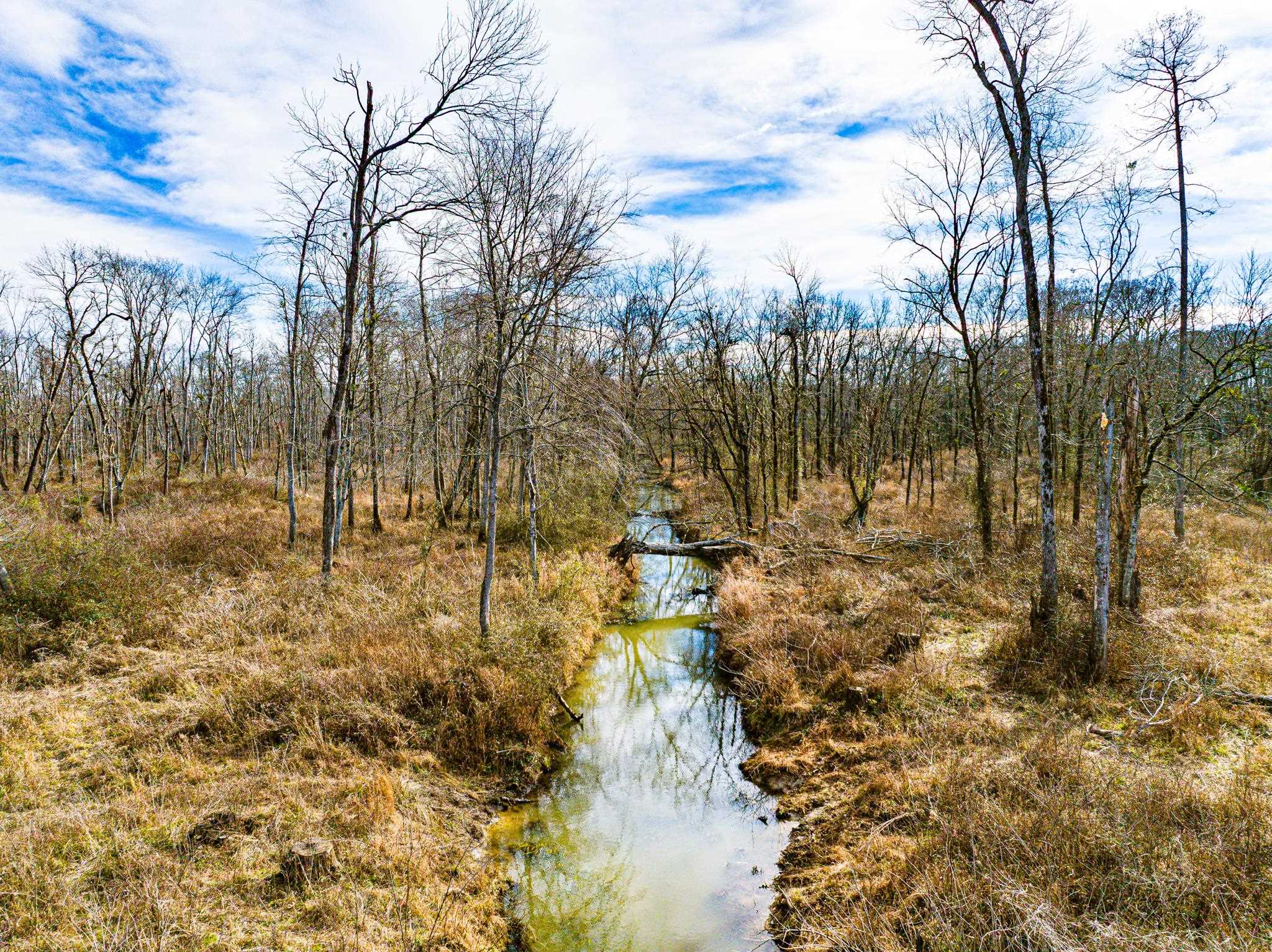 0 Puryear Road Cottage Grove, TN 38224 - Photo 19 of 40 a view of yard with trees