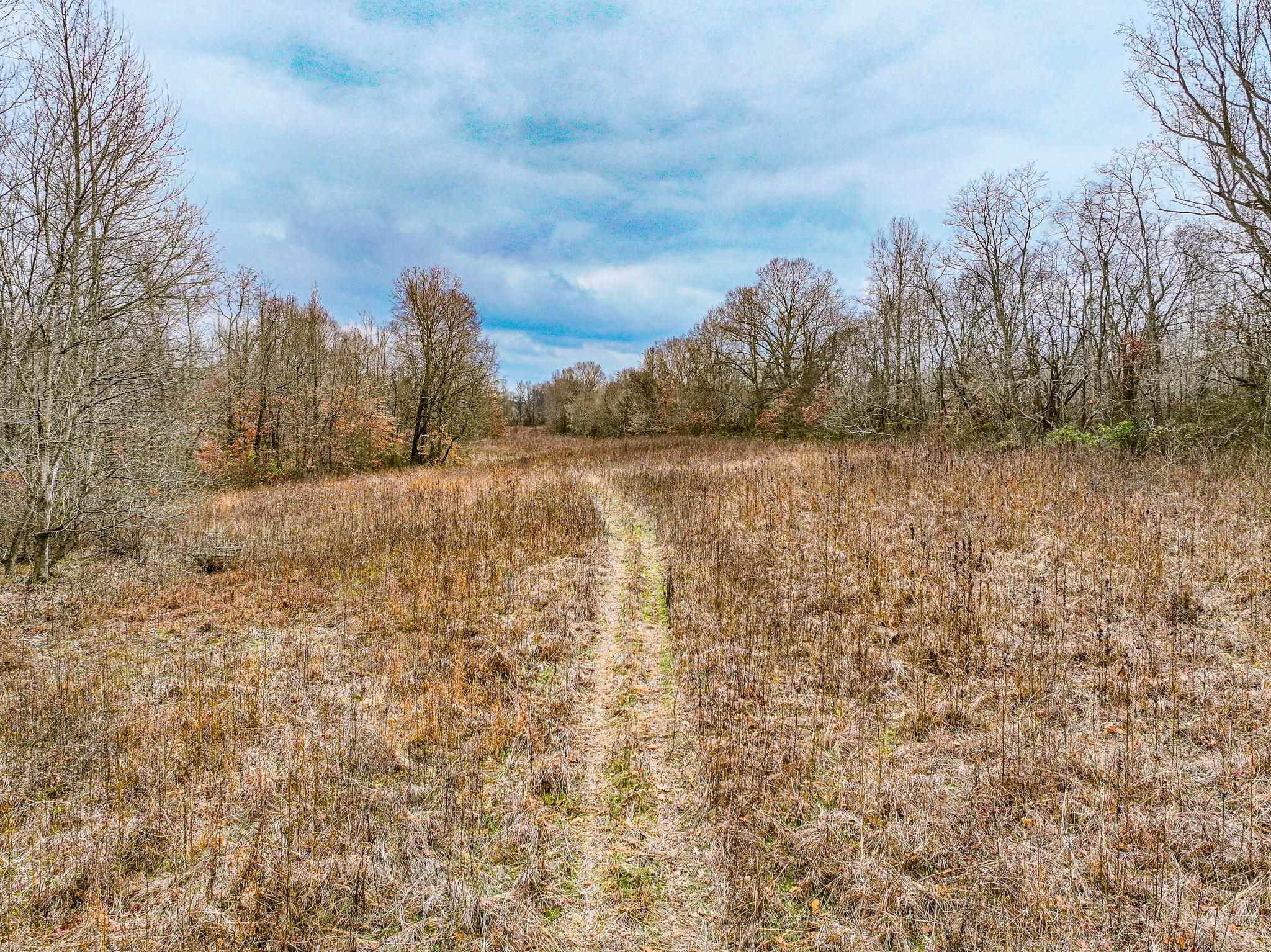 0 Puryear Road Cottage Grove, TN 38224 - Photo 22 of 40 a view of a yard with trees in the background