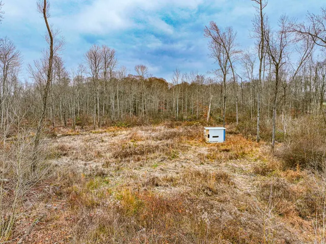 a view of a yard with a tree