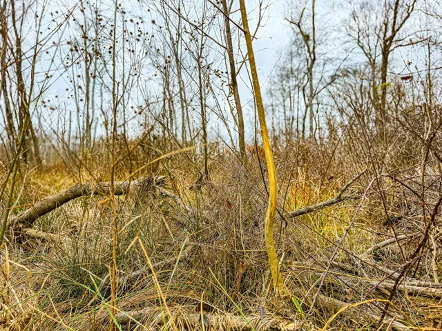 a view of city and mountain