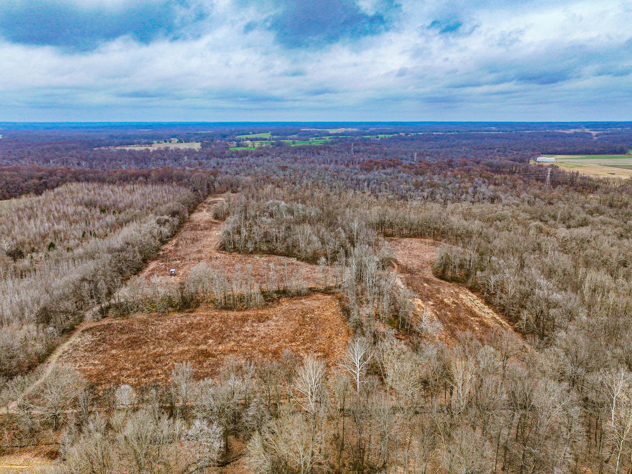 0 Puryear Road Cottage Grove, TN 38224 - Photo 27 of 40 a view of city and mountain