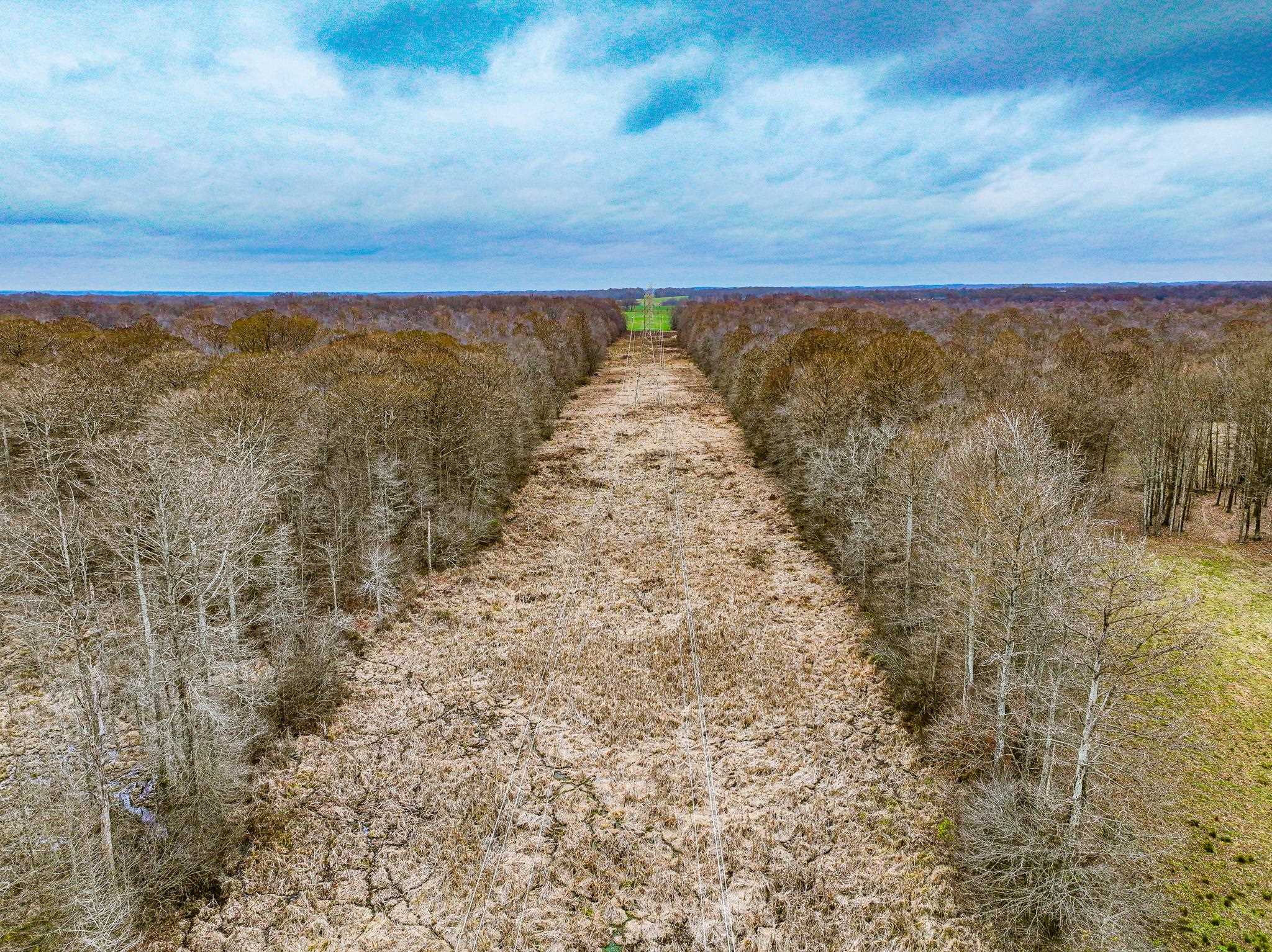 0 Puryear Road Cottage Grove, TN 38224 - Photo 32 of 40 a view of an ocean