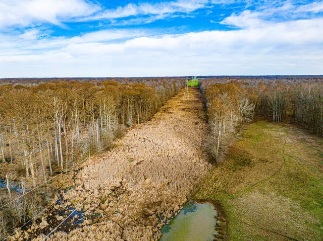 a view of an outdoor space