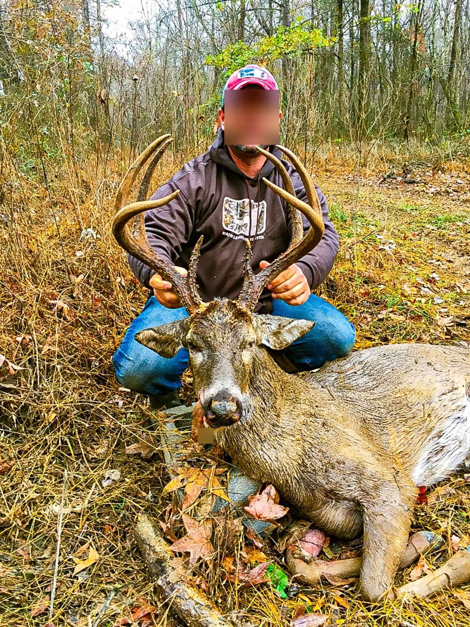 0 Puryear Road Cottage Grove, TN 38224 - Photo 34 of 40 a view of outdoor space with wooden floor