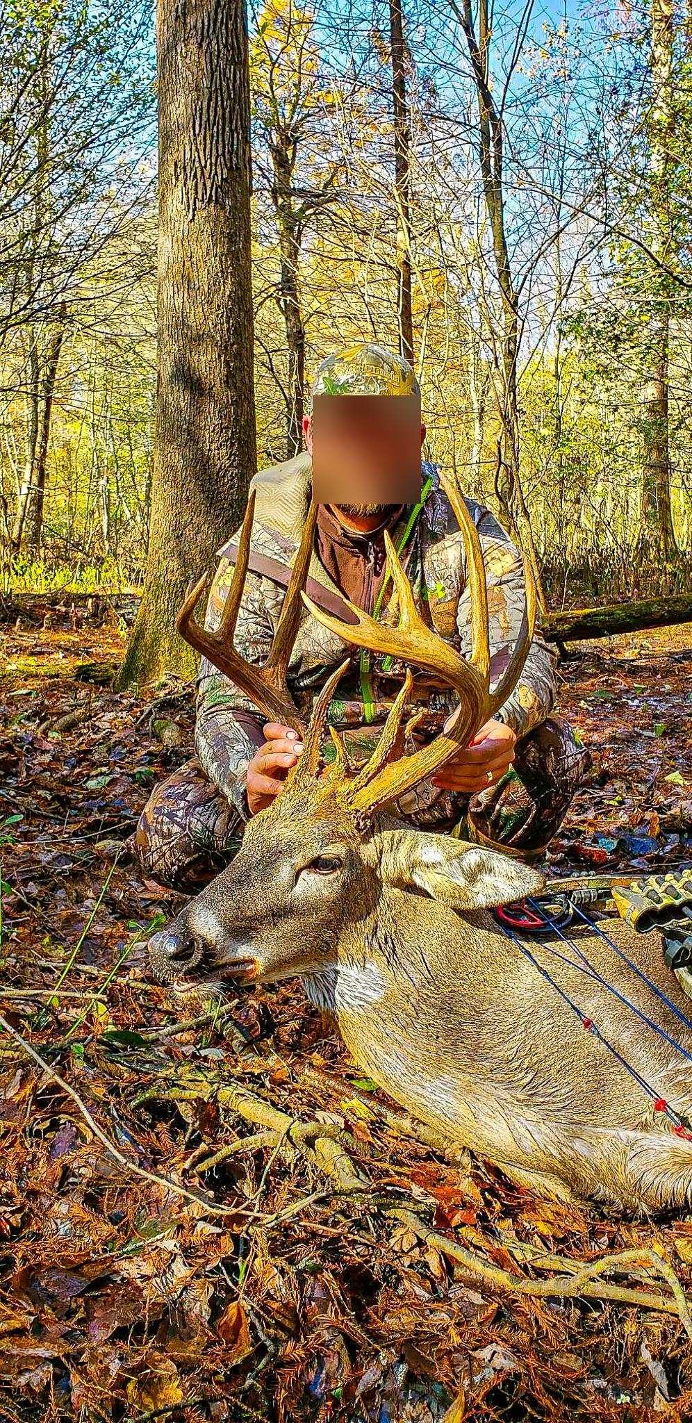 0 Puryear Road Cottage Grove, TN 38224 - Photo 35 of 40 a view of an outdoor space