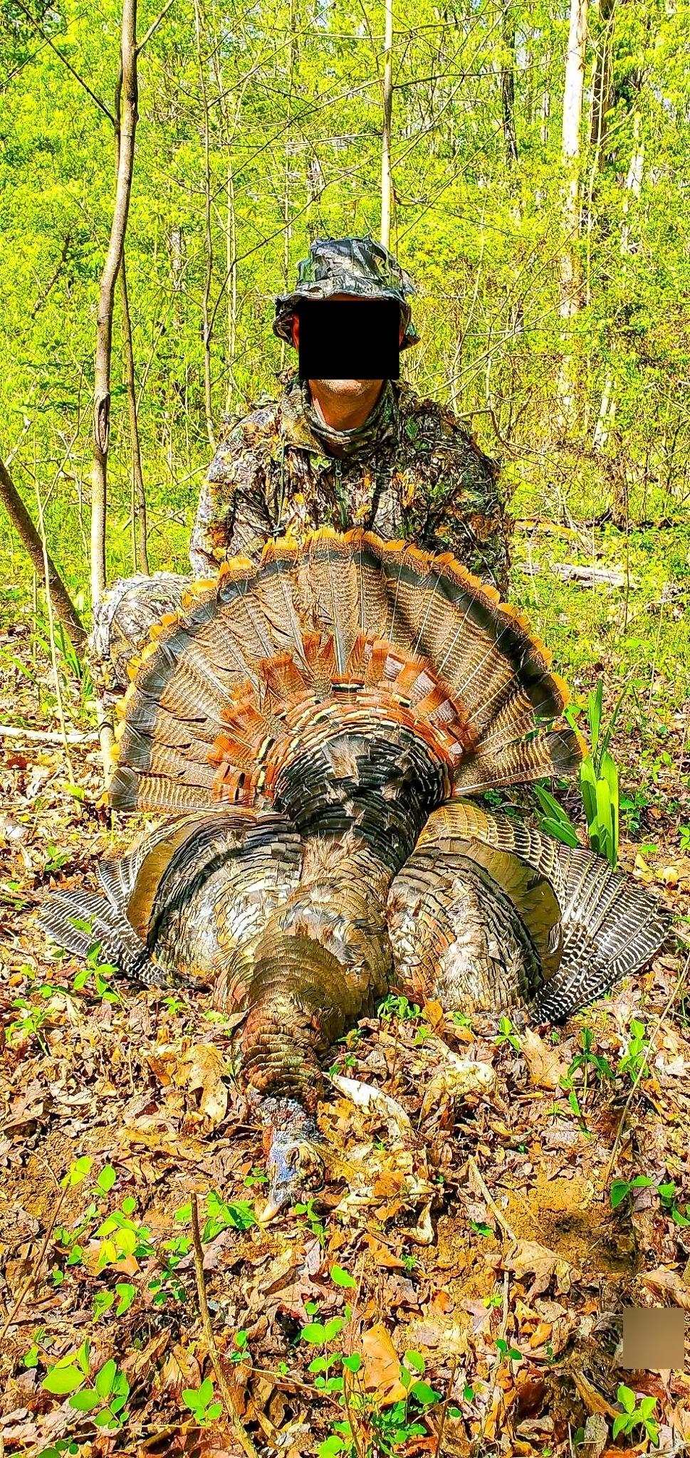 0 Puryear Road Cottage Grove, TN 38224 - Photo 37 of 40 a view of a backyard of a house