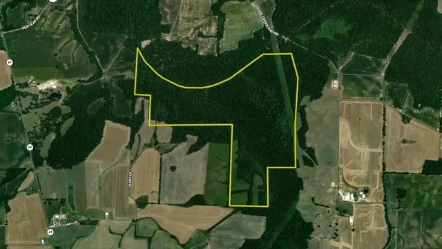 an aerial view of a swimming pool