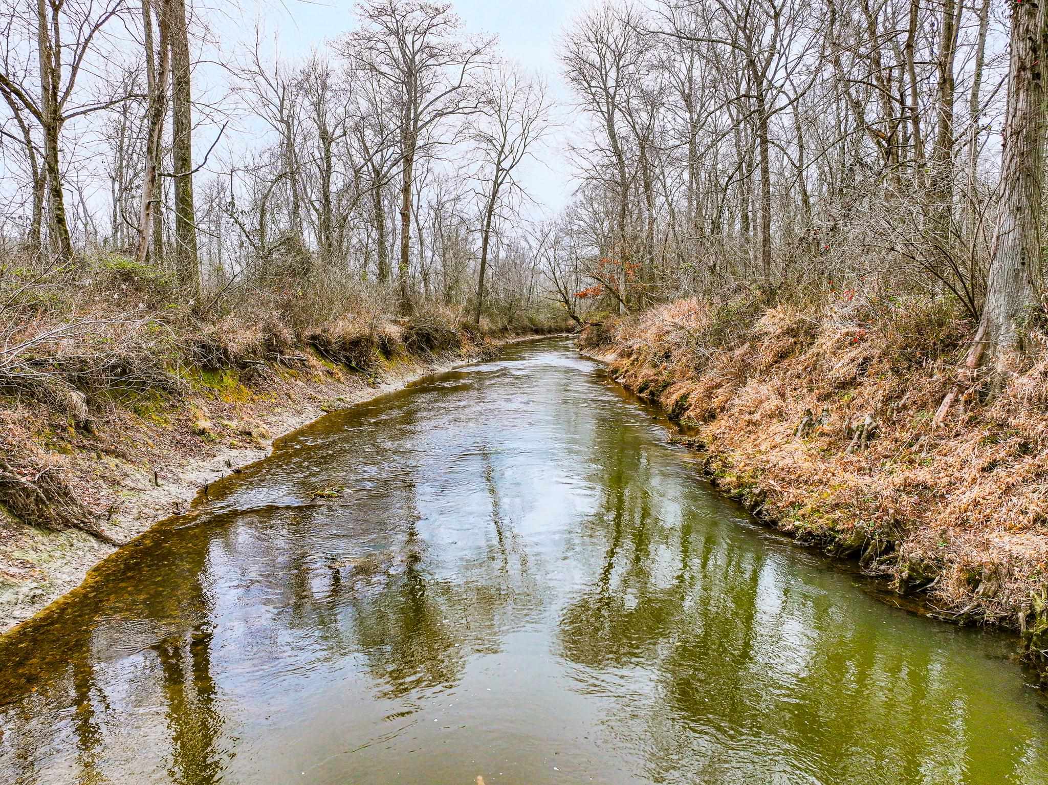 0 Puryear Road Cottage Grove, TN 38224 - Photo 7 of 40 a view of swimming pool with a yard