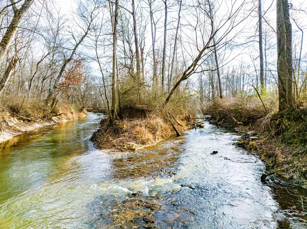 a view of water yard covered by trees