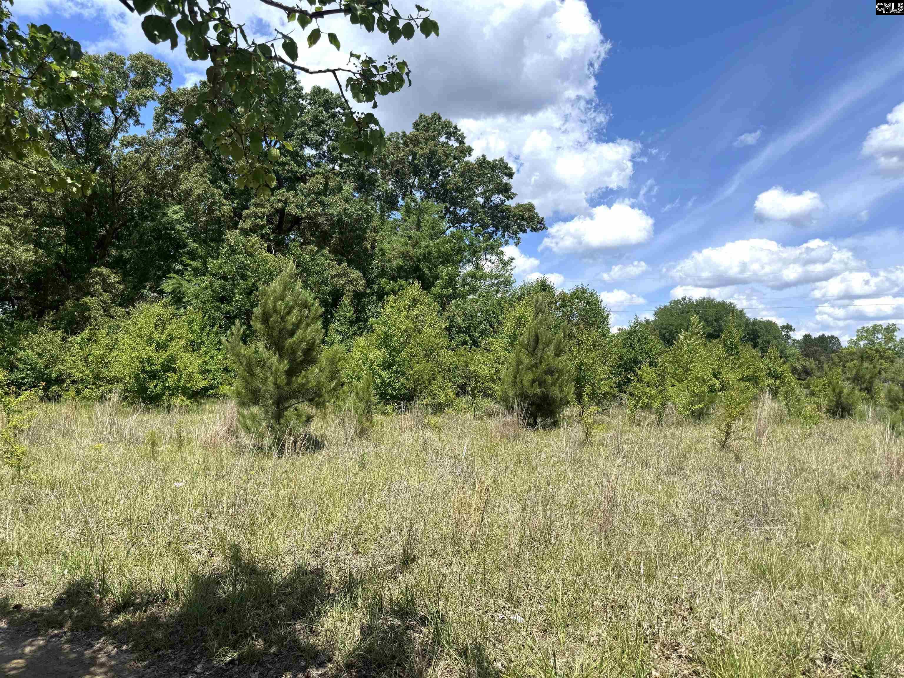 1536 Congaree Road Hopkins, SC 29061 - Photo 4 of 7 a view of a bunch of trees and bushes