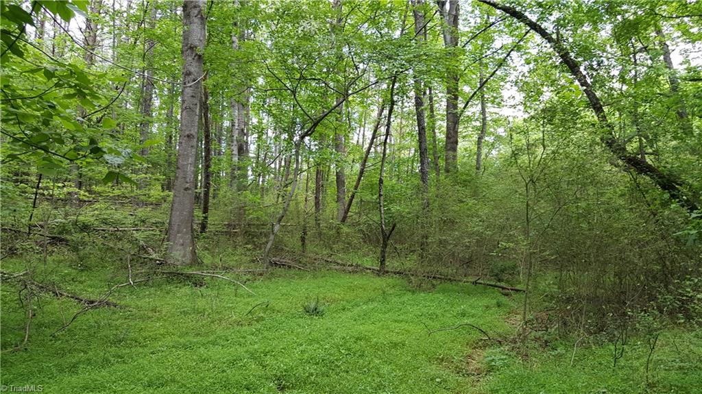 384 Cox Ford Road Ararat, NC 27007 - Photo 7 of 10 Gallery Image 7