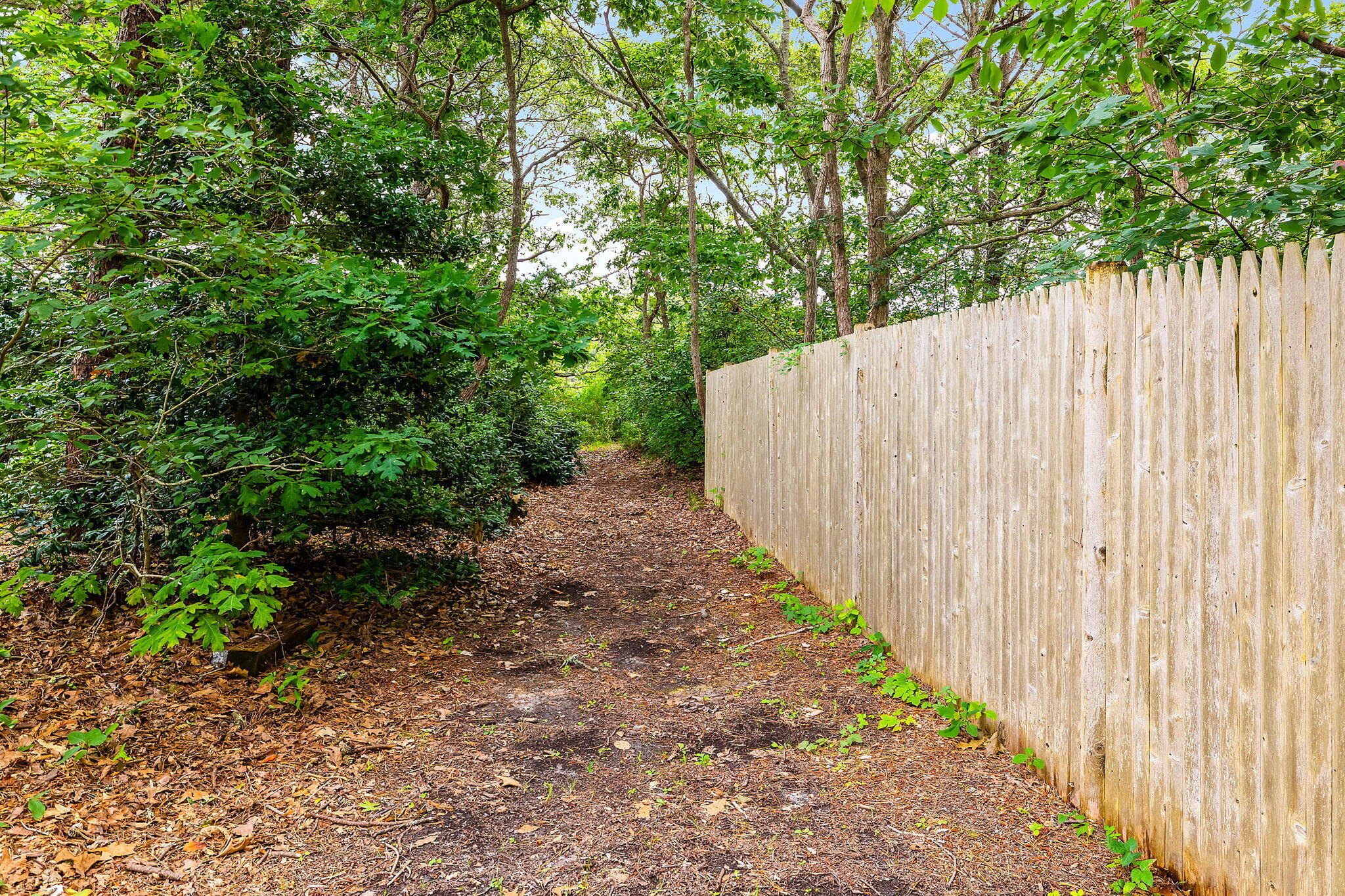 8 Seconsett Point Road Mashpee, MA 02649 - Photo 14 of 52 21-web-or-mls-8 Seconsett Point Final-26