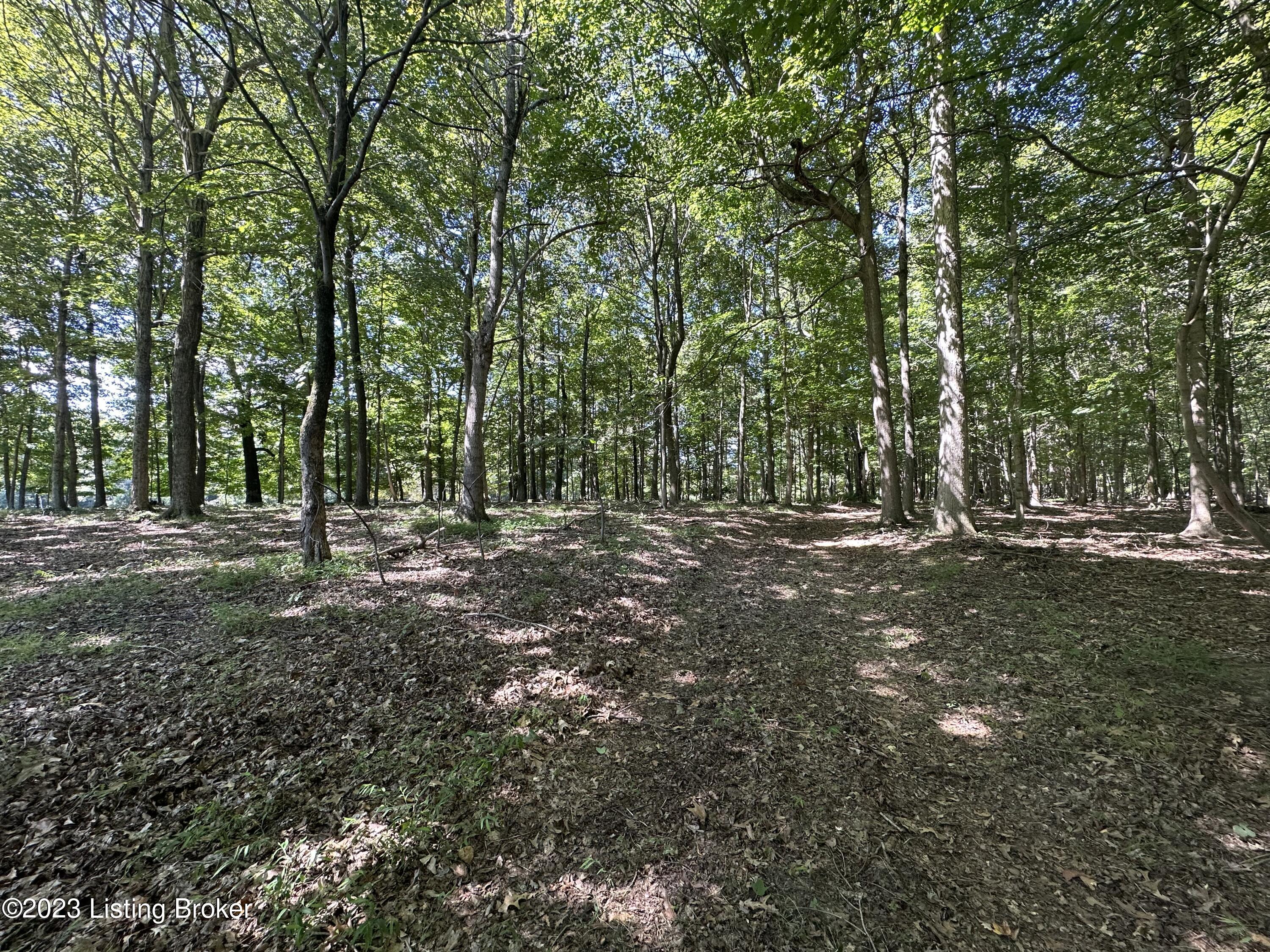Lot 32 Ferncliff Road Brandenburg, KY 40108 - Photo 7 of 7 IMG_5524
