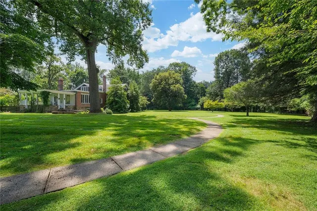 a view of a park with large trees