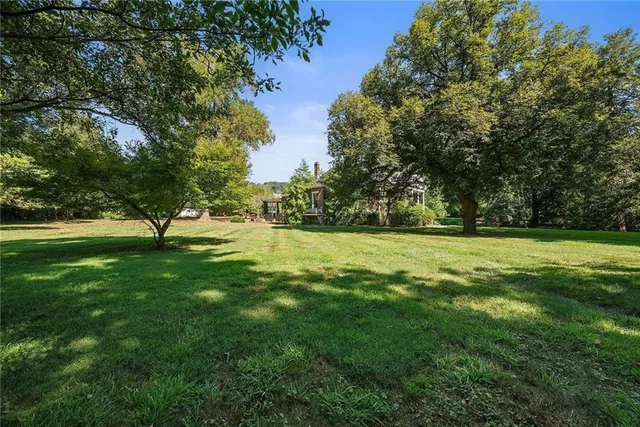 a view of yard with trees