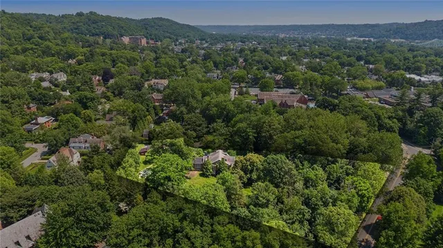 an aerial view of green landscape with trees houses and mountain view