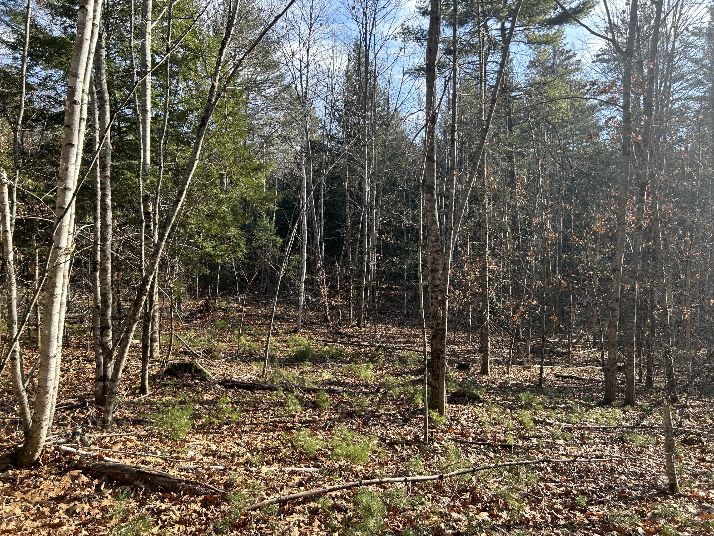 Lot #4 Thorndike Road Unity, ME 04988 - Photo 1 of 6 Woods 3 Lot 4