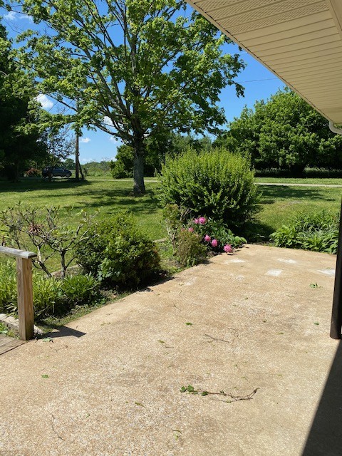 54 Purcell Road Leoma, TN 38468 - Photo 12 of 29 a view of a garden with plants