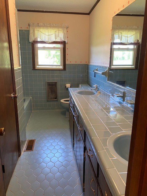 54 Purcell Road Leoma, TN 38468 - Photo 15 of 29 a bathroom with a sink a toilet and a bathtub