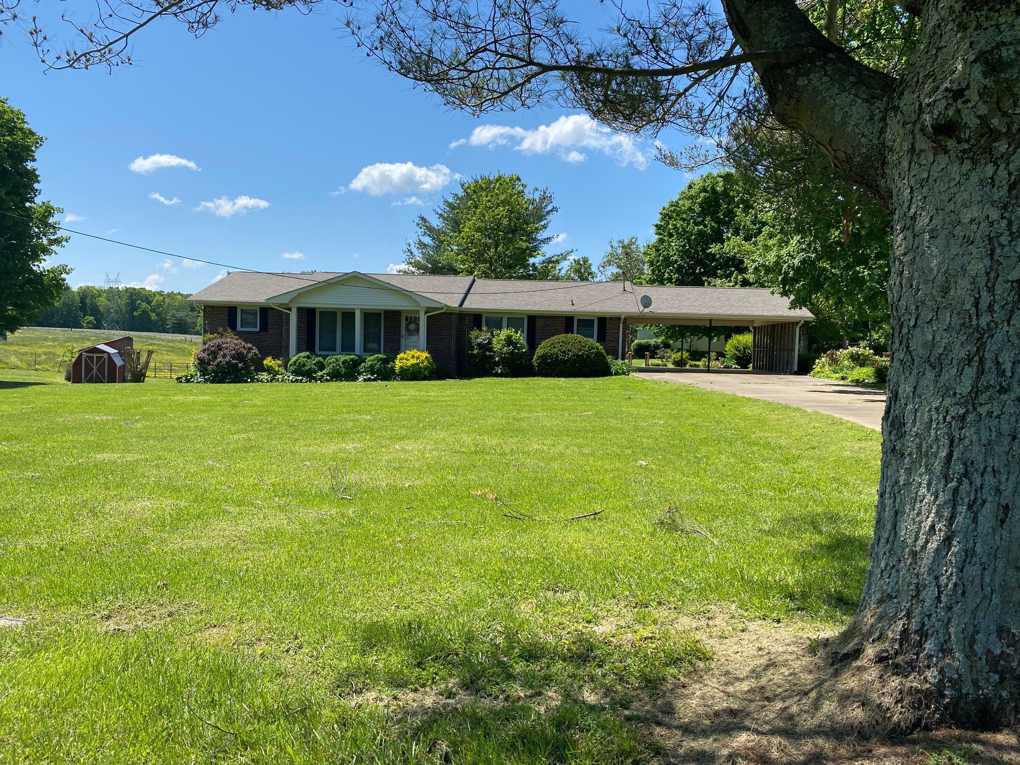 54 Purcell Road Leoma, TN 38468 - Photo 4 of 29 a view of a house with a yard