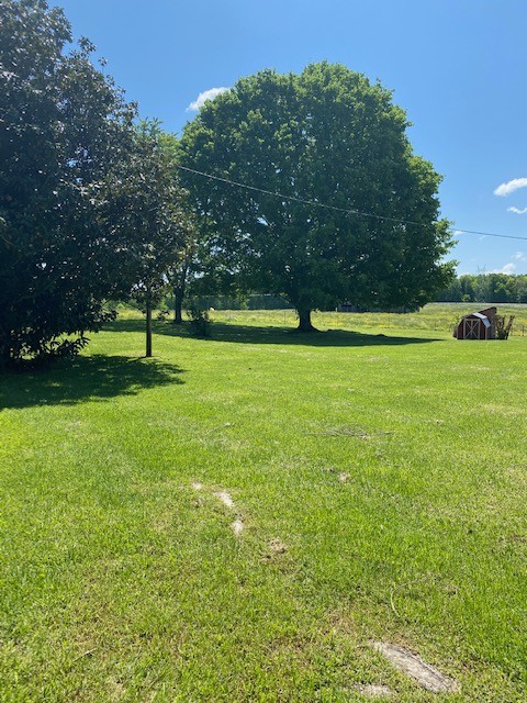 54 Purcell Road Leoma, TN 38468 - Photo 9 of 29 a view of a field of grass and trees