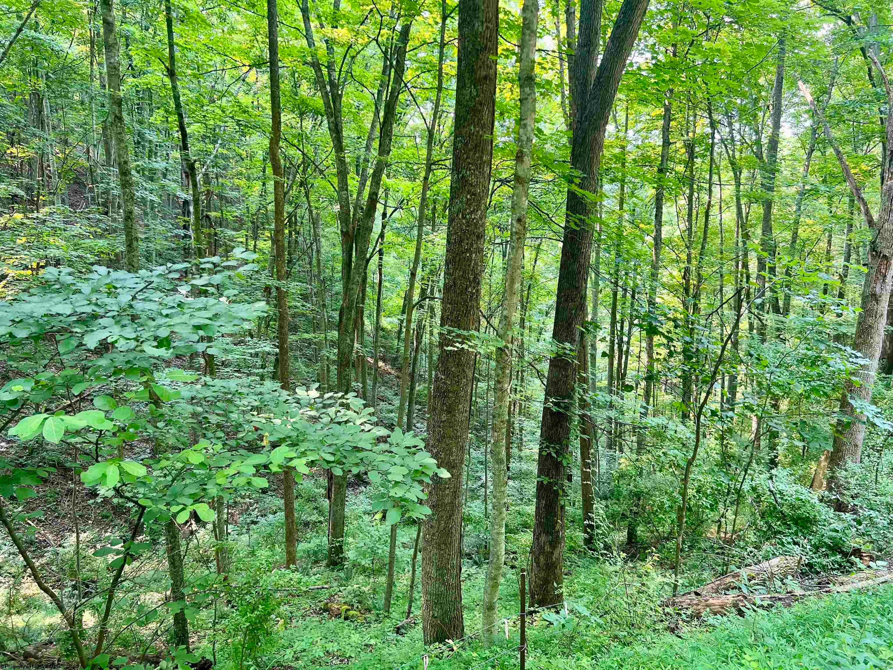 1527 Co Rte 18/1 Duck, WV 25063 - Photo 27 of 27 Gallery Image 27